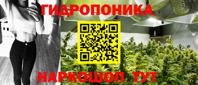 трава Краснознаменск