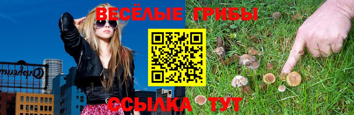 Чебаркуль  Псилоцибиновые грибы прущие грибы  Вход с VPN  Псилоцибиновые грибы ЛСД 